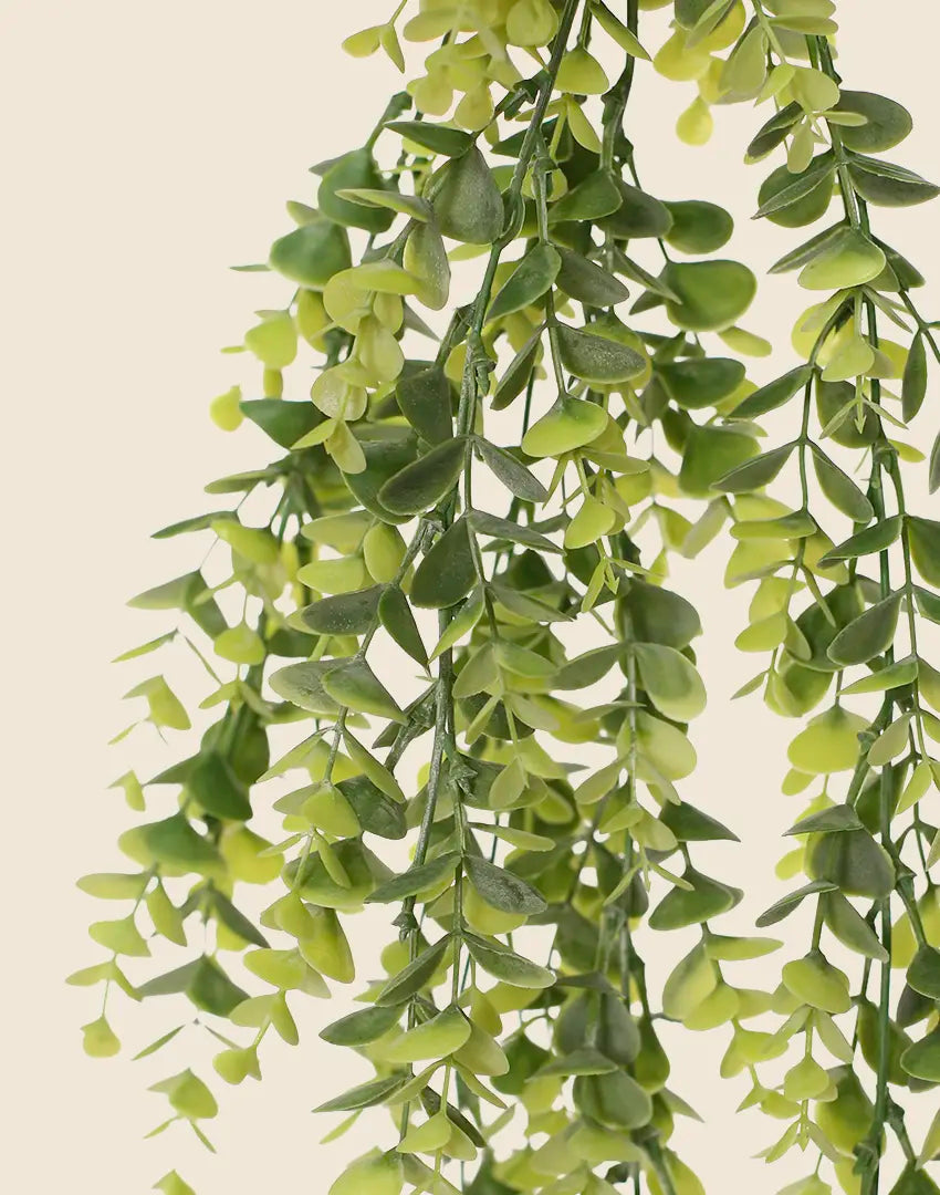 Mata colgante eucalyptus artificial 75 cm
