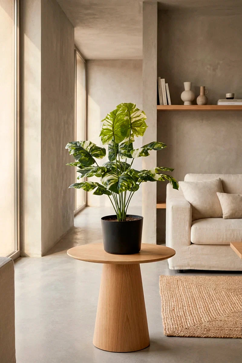 Planta costilla de Adán artificial