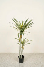 Planta pandanus artificial 130 cm