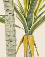 Planta pandanus artificial 130 cm