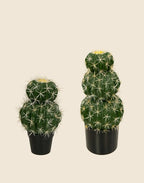 Planta cactus Echinocactus grusonii artificial
