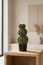 Planta cactus Echinocactus grusonii artificial