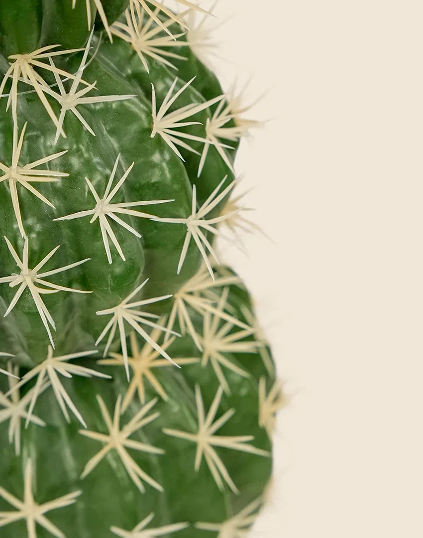 Planta cactus Echinocactus grusonii artificial