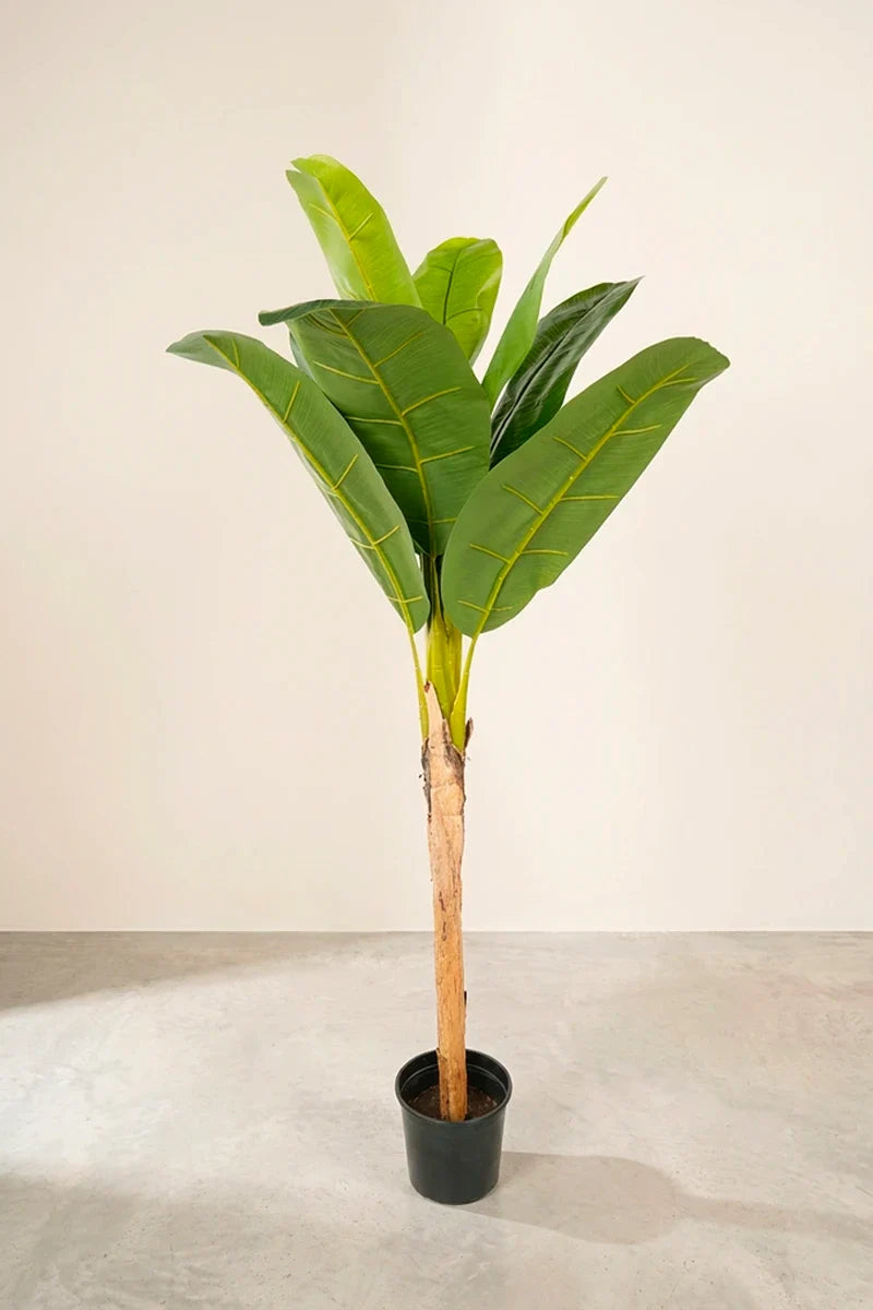 Planta platanera artificial 160 cm