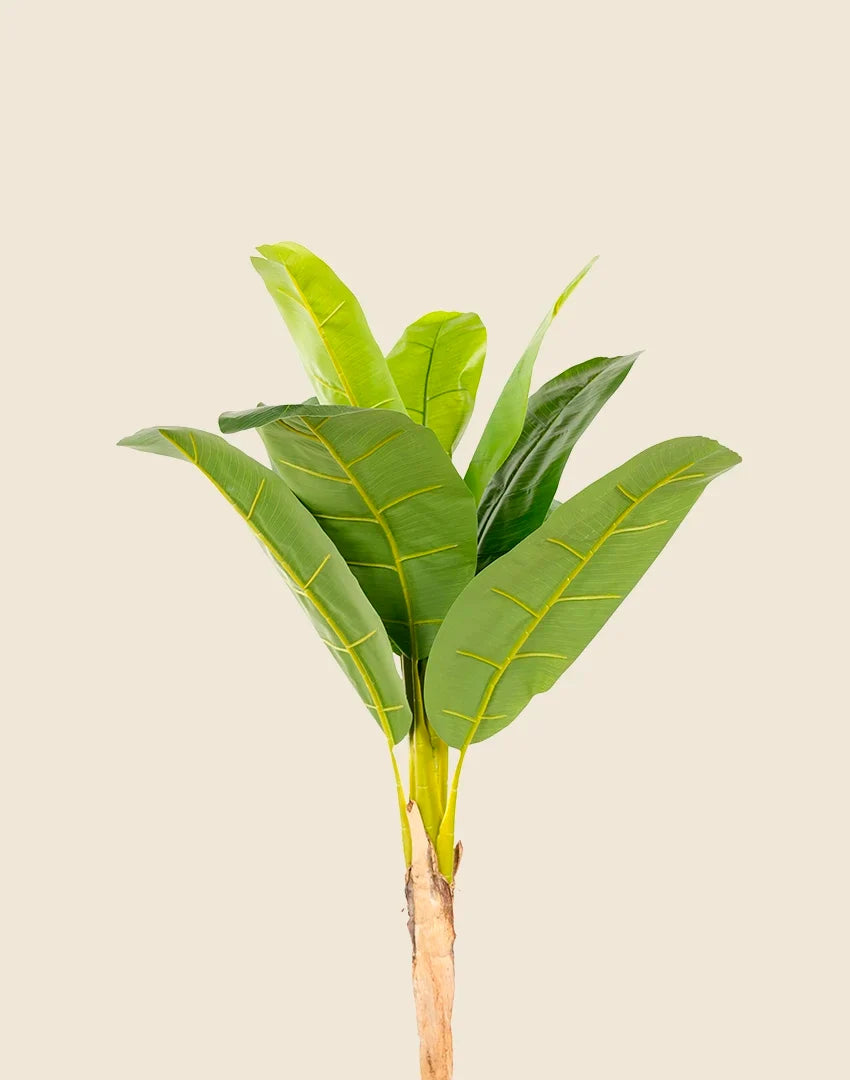 Planta platanera artificial 160 cm