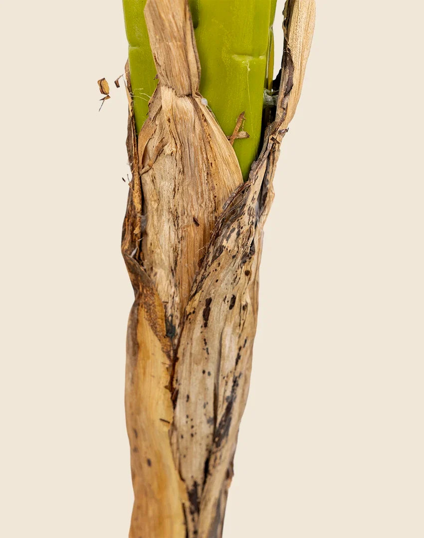 Planta platanera artificial 160 cm