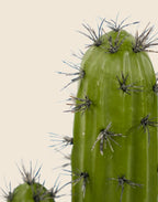 Planta cactus Echinocactus grusonii artificial 70 cm