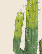 Planta cactus Echinocactus grusonii artificial 70 cm