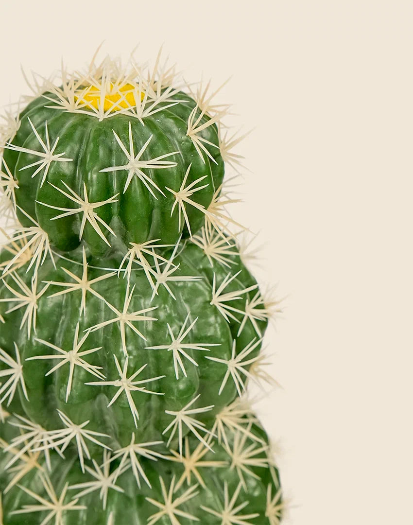 Planta cactus Echinocactus grusonii artificial