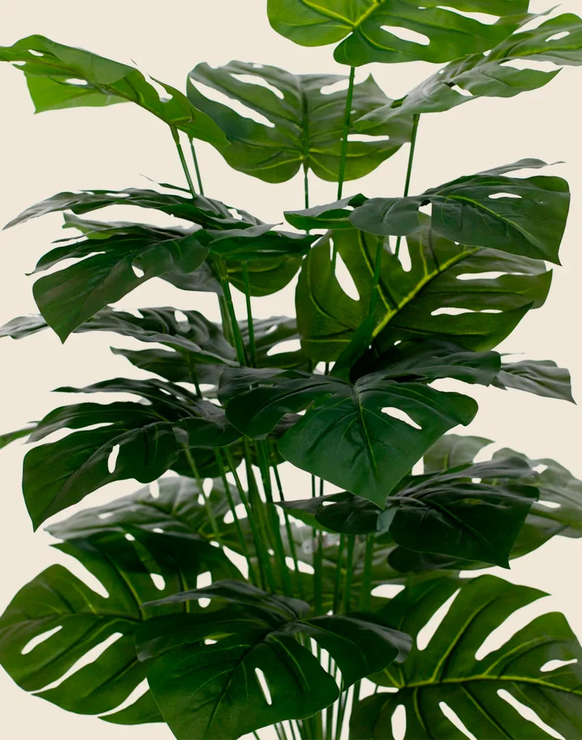 Planta costilla de Adán artificial 75cm