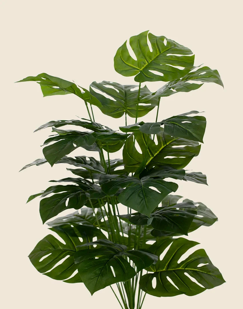 Planta costilla de Adán artificial 75cm