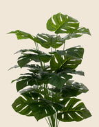 Planta costilla de Adán artificial 75cm