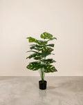 Planta costilla de Adán artificial 75cm