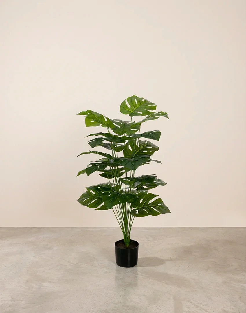 Planta costilla de Adán artificial 75cm