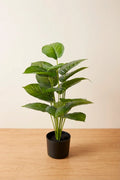Planta ficus artificial