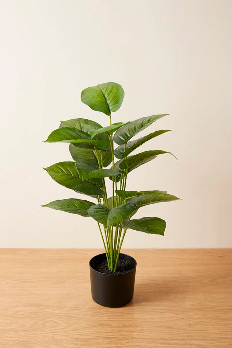 Planta ficus artificial