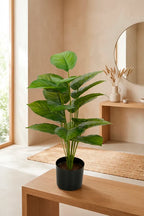 Planta ficus artificial