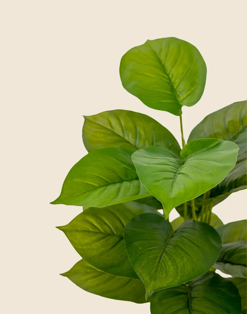 Planta ficus artificial