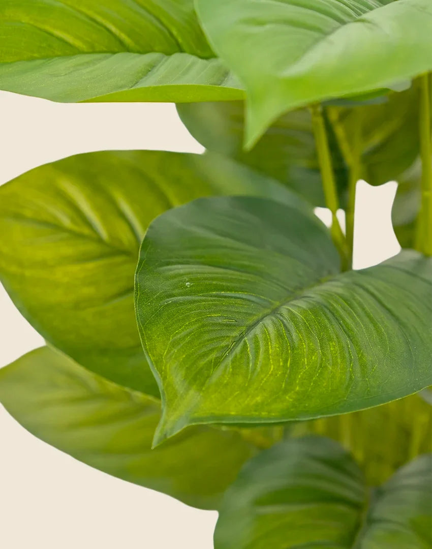 Planta ficus artificial