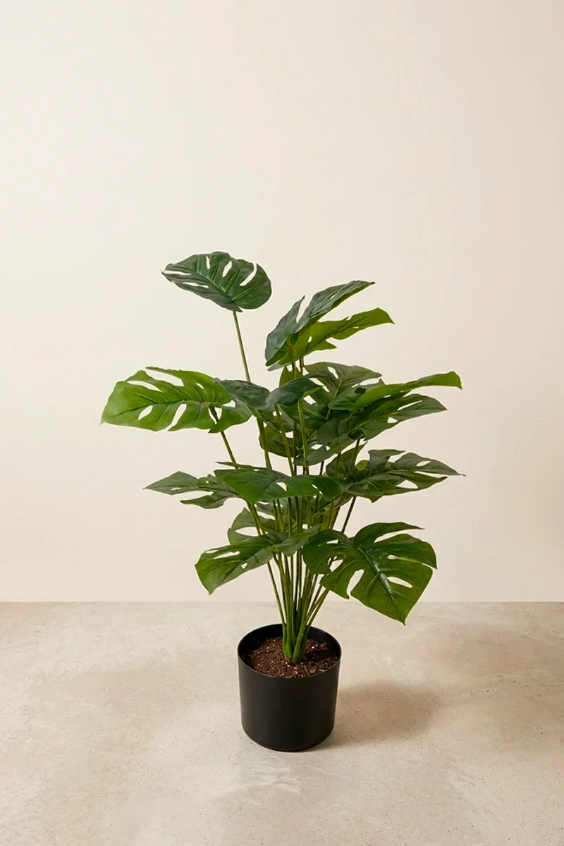 Planta costilla artificial