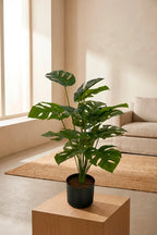 Planta costilla artificial