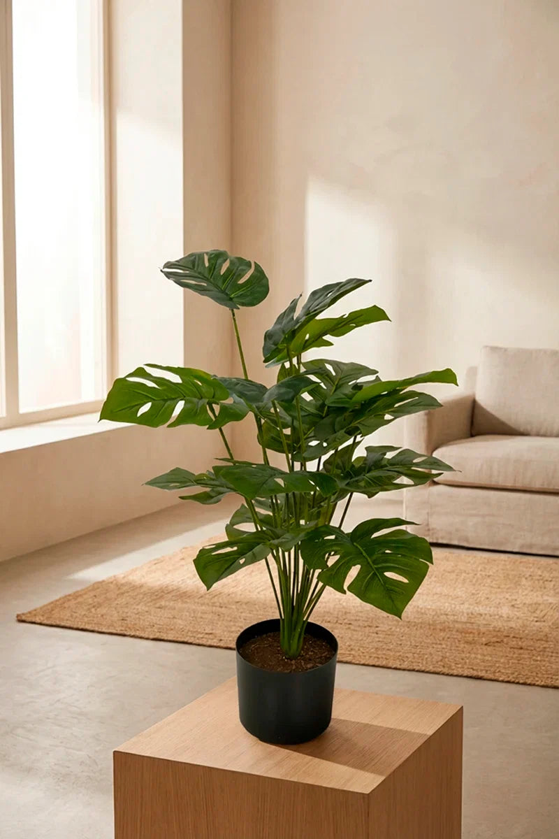 Planta costilla artificial