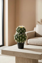 Planta cactus Echinocactus grusonii artificial