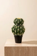 Planta cactus Echinocactus grusonii artificial