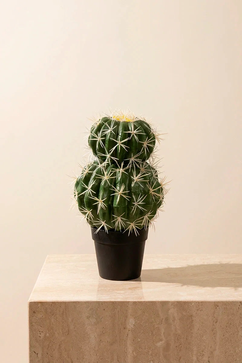 Planta cactus Echinocactus grusonii artificial