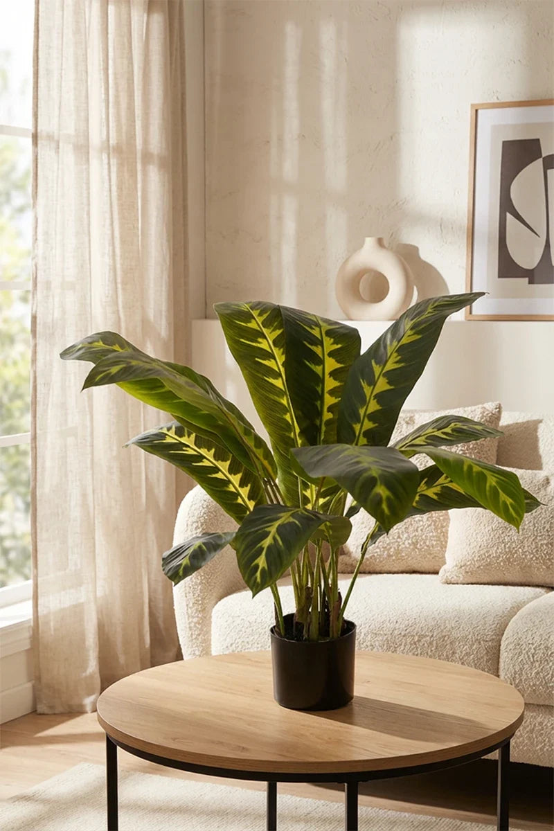 Calathea zebrina artificial 90cm
