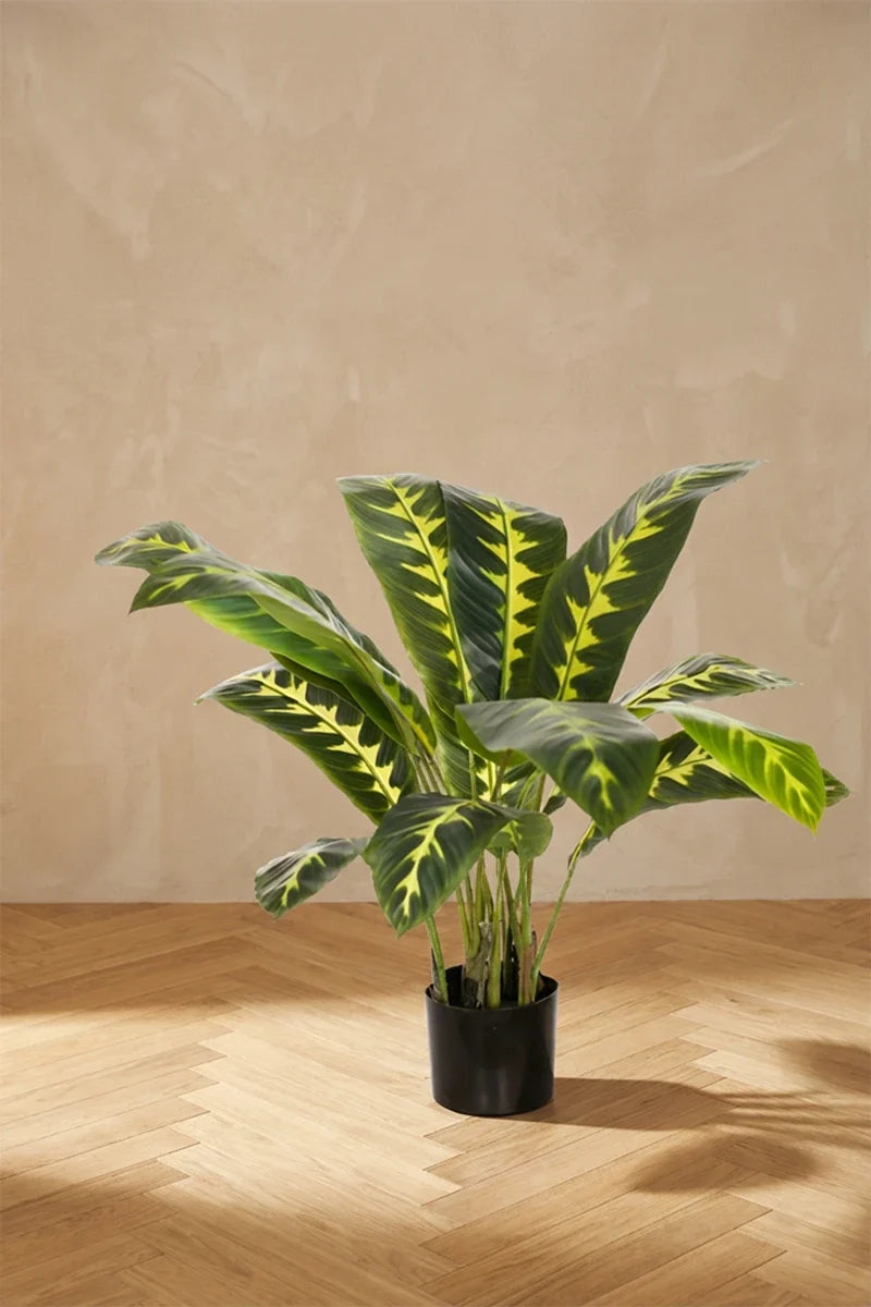 Calathea zebrina artificial 90cm