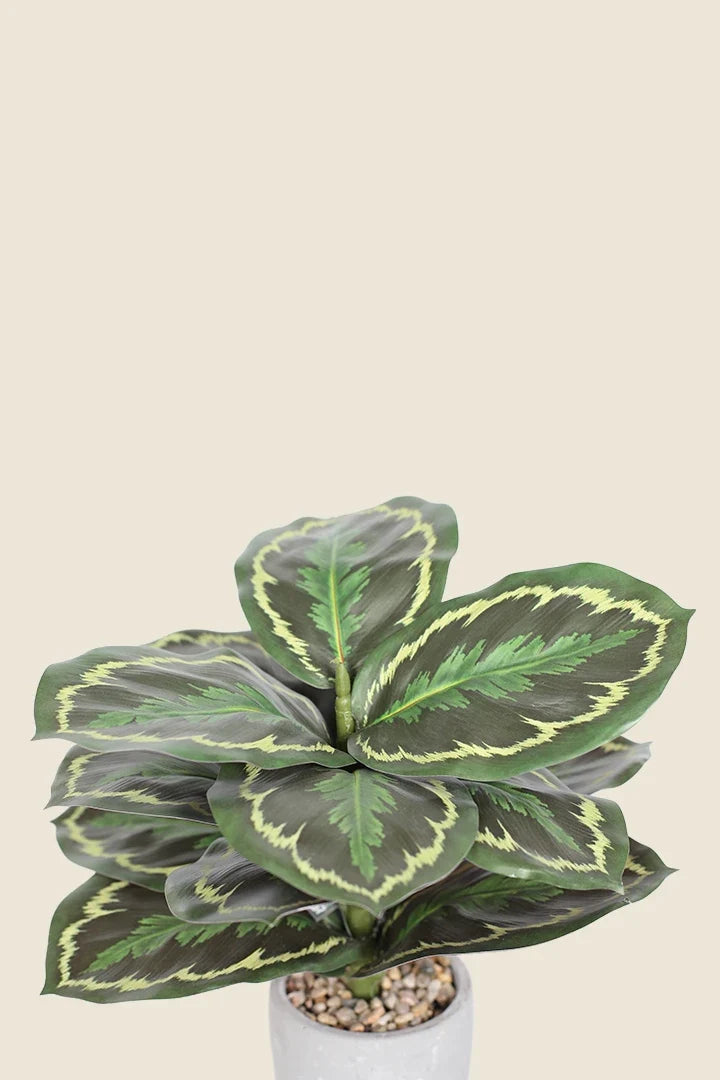 Maceta Calathea artificial 35cm