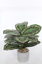 Maceta Calathea artificial 35cm