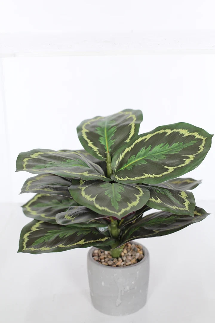 Maceta Calathea artificial 35cm