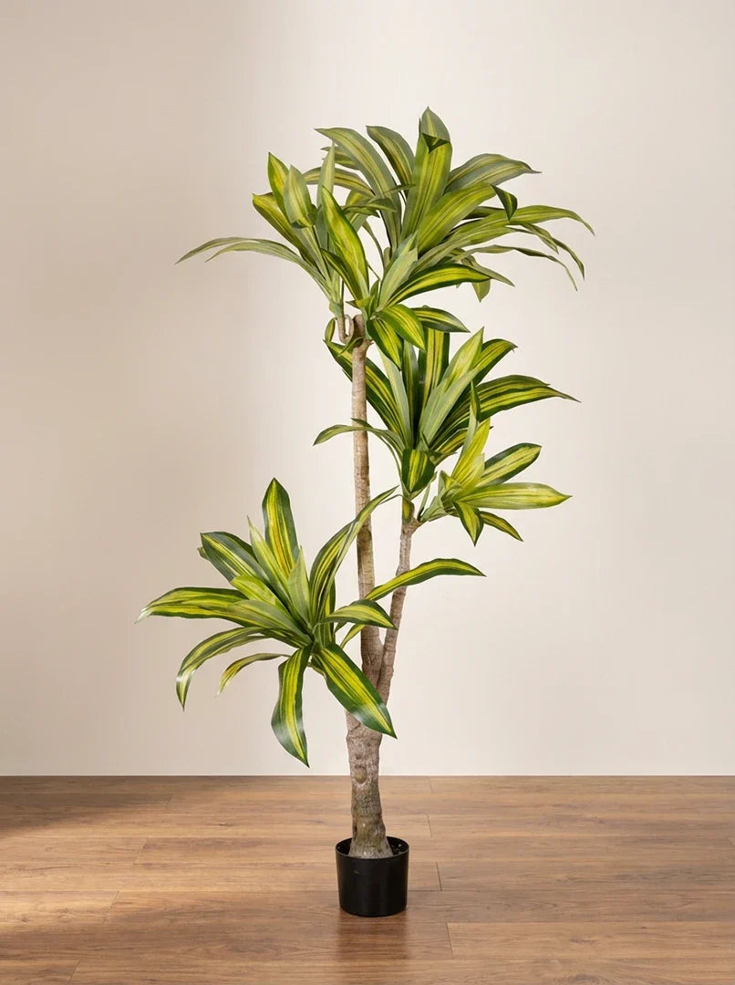 Planta Dracena artificial 170cm