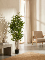 Planta eucalyptus artificial 180cm