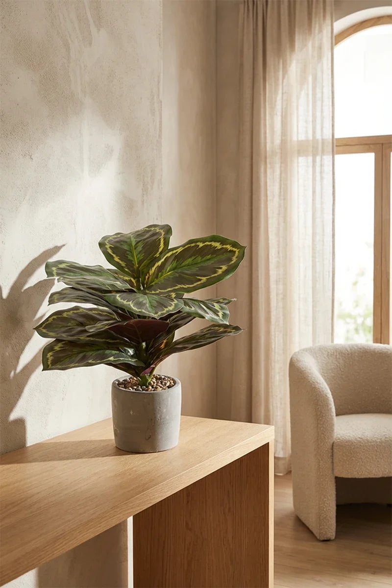 Maceta Calathea artificial 35cm