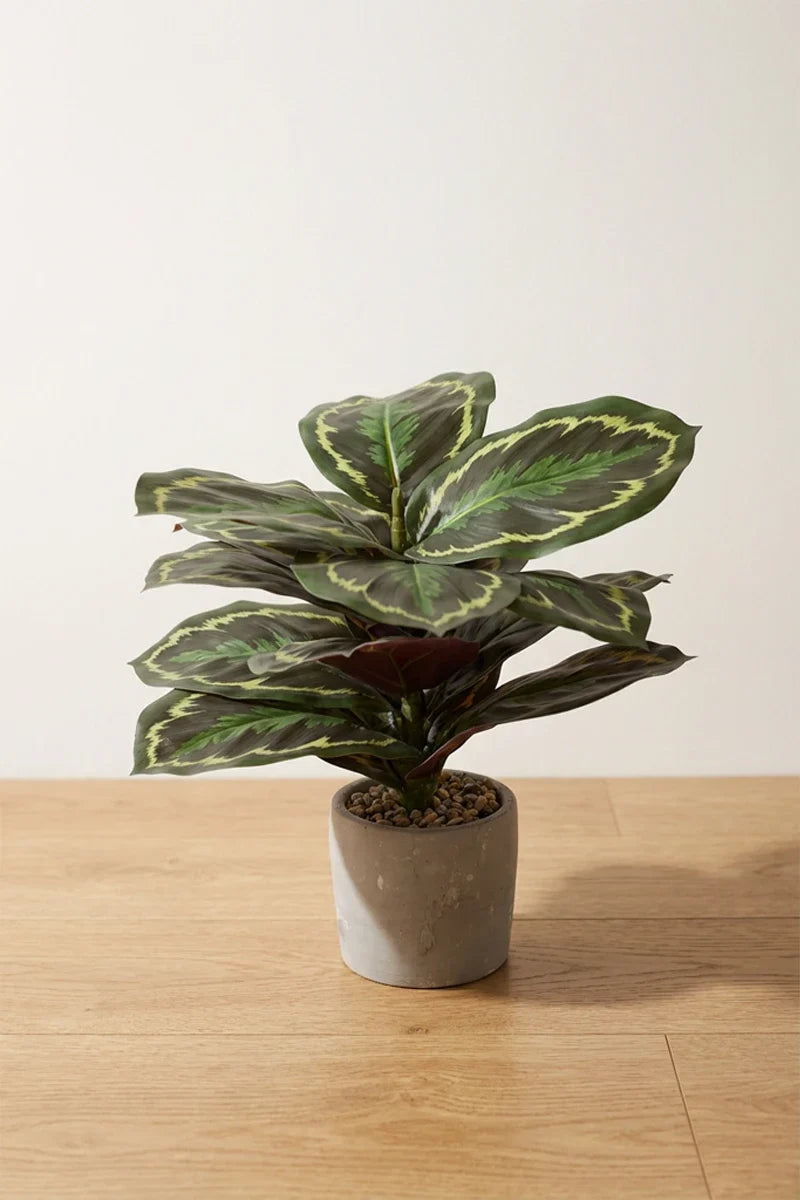 Maceta Calathea artificial 35cm