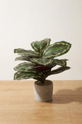 Maceta Calathea artificial 35cm