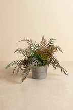 Maceta Filocopsida artificial 30cm