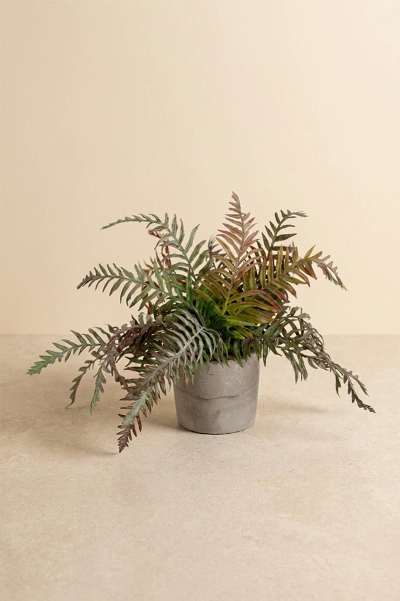Maceta Filocopsida artificial 30cm