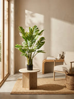 Planta Monsteria - Costilla de Adán artificial 110cm