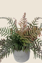 Maceta Filocopsida artificial 30cm
