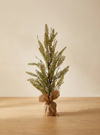 Macetita Saco Pino Semilla artificial 65cm