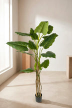 Planta Philodendron artificial 180cm