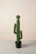 Planta cactus Cereus artificial 75 cm