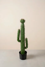 Planta cactus Cereus artificial 75 cm