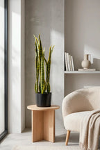 Planta sansevieria artificial 75 cm