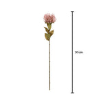 Vara protea artificial