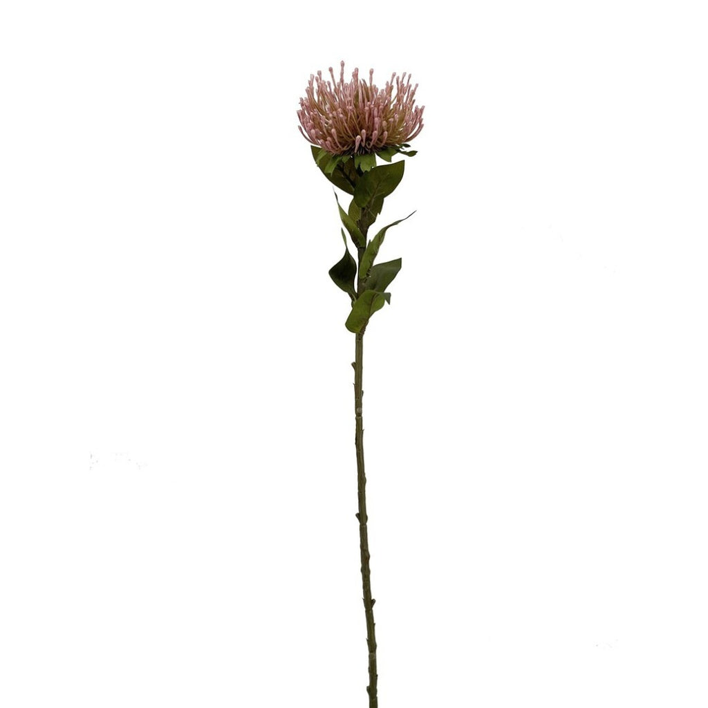 Vara protea artificial
